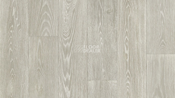 Линолеум Tarkett Philosophy BLANCH 1 фото 1 | FLOORDEALER